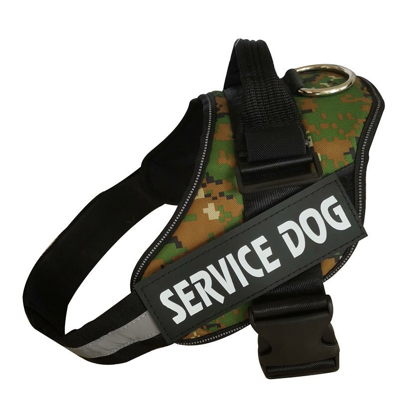 🐾 Dog & You™ Personalized No-Pull Harness - Dog & You