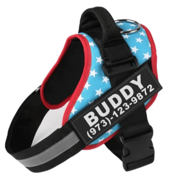 🐾 Dog & You™ Personalized No-Pull Harness - Dog & You