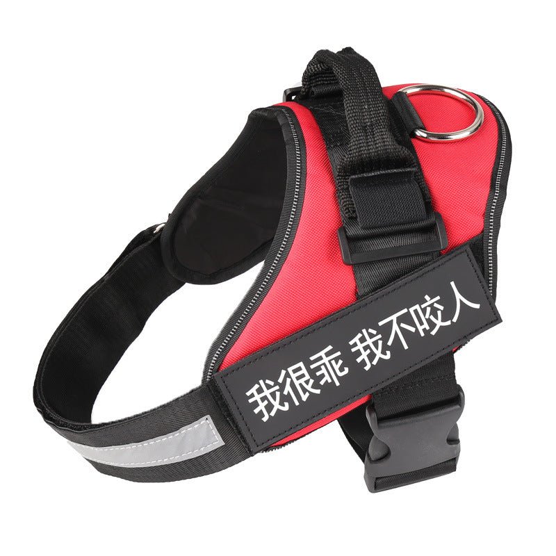 🐾 Dog & You™ Personalized No-Pull Harness - Dog & You