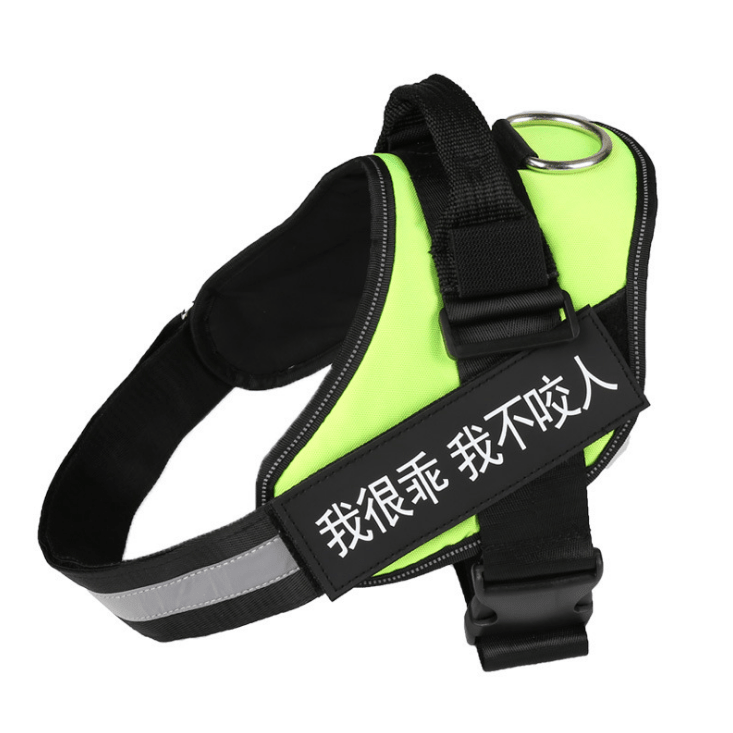 🐾 Dog & You™ Personalized No-Pull Harness - Dog & You