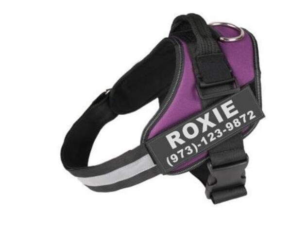 🐾 Dog & You™ Personalized No-Pull Harness - Dog & You