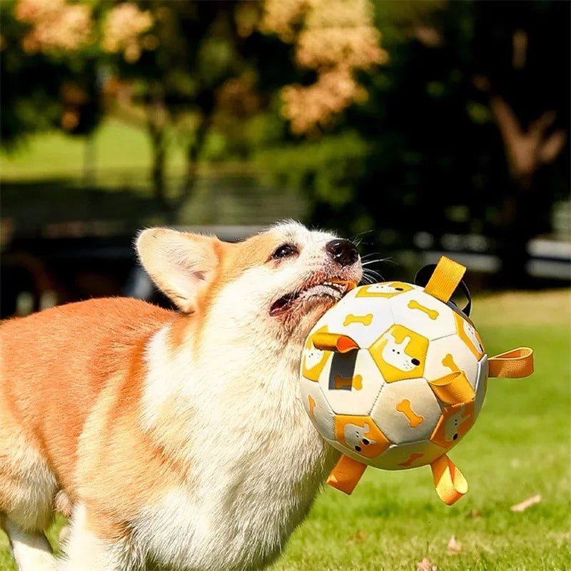 🐾 Dog & You™ Plush Soccer Ball — Bite-Resistant with Cute Characters - Dog & You