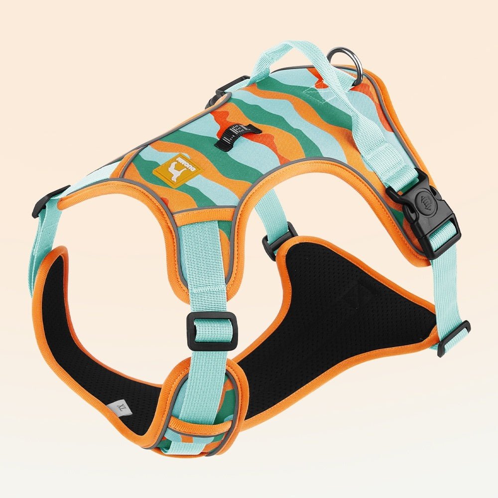 🐾 Dog & You™ Reflective Dog Harness - Dog & You