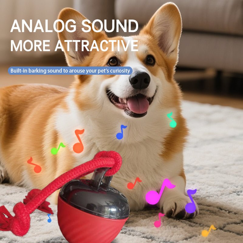 🐾 Dog & You™ Smart Moving Ball — 3 Modes, USB Rechargeable - Dog & You
