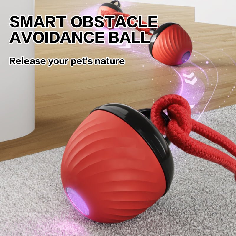 🐾 Dog & You™ Smart Moving Ball — 3 Modes, USB Rechargeable - Dog & You