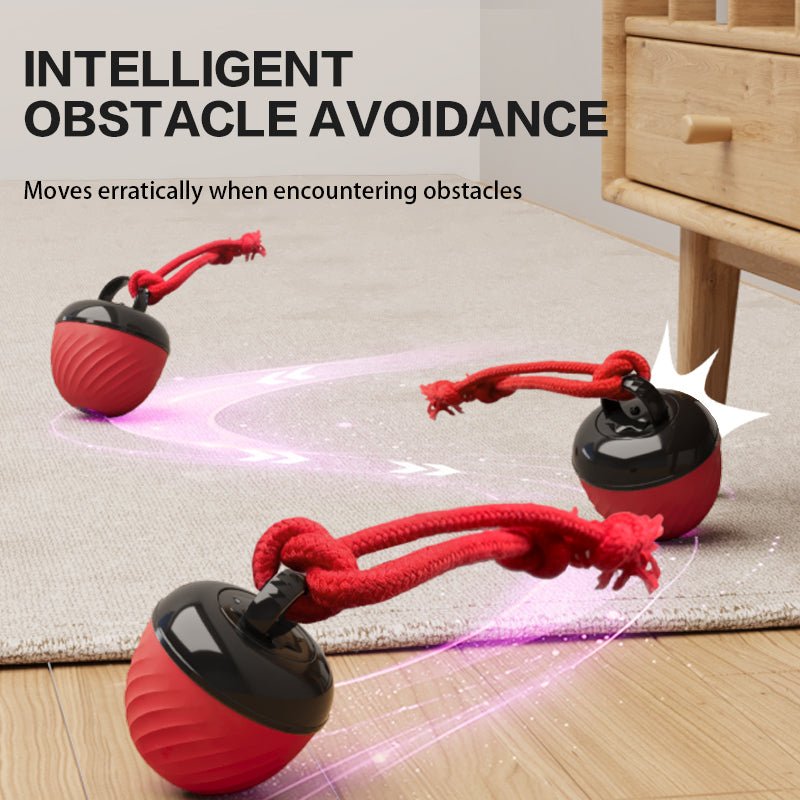 🐾 Dog & You™ Smart Moving Ball — 3 Modes, USB Rechargeable - Dog & You