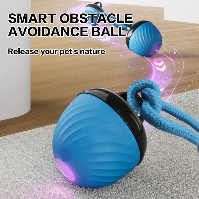 🐾 Dog & You™ Smart Moving Ball — 3 Modes, USB Rechargeable - Dog & You