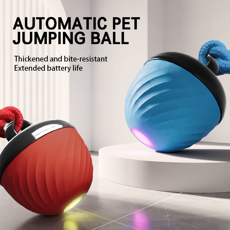 🐾 Dog & You™ Smart Moving Ball — 3 Modes, USB Rechargeable - Dog & You