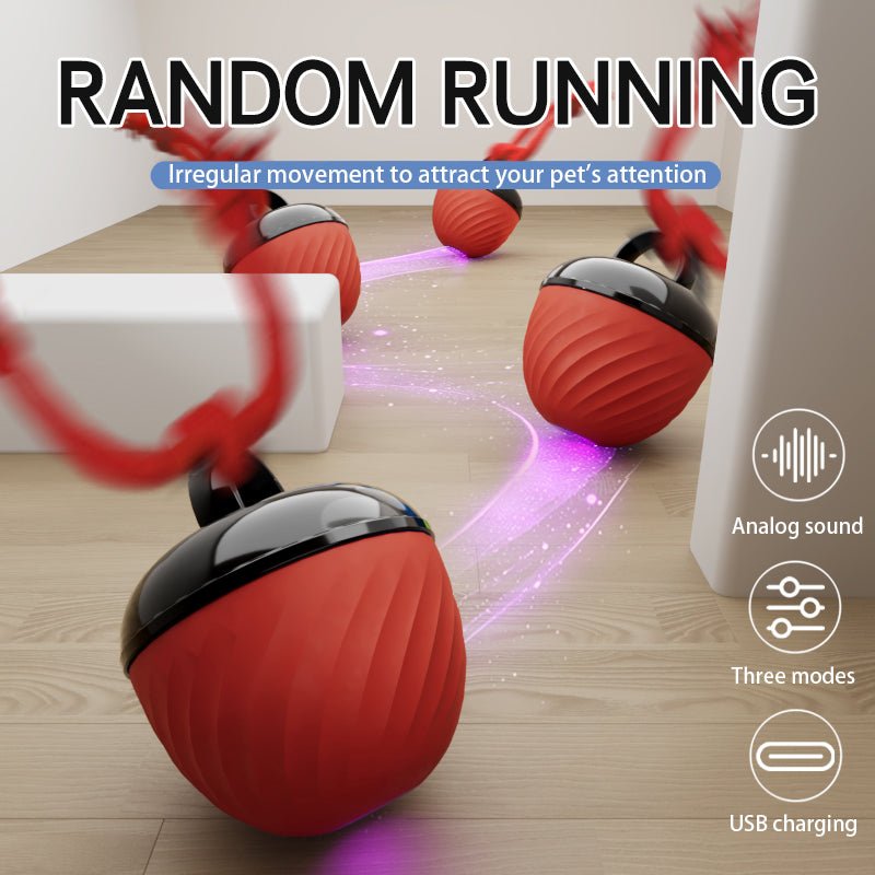 🐾 Dog & You™ Smart Moving Ball — 3 Modes, USB Rechargeable - Dog & You