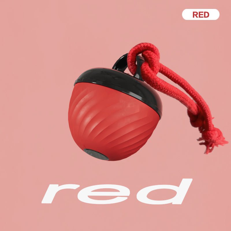 🐾 Dog & You™ Smart Moving Ball — 3 Modes, USB Rechargeable - Dog & You