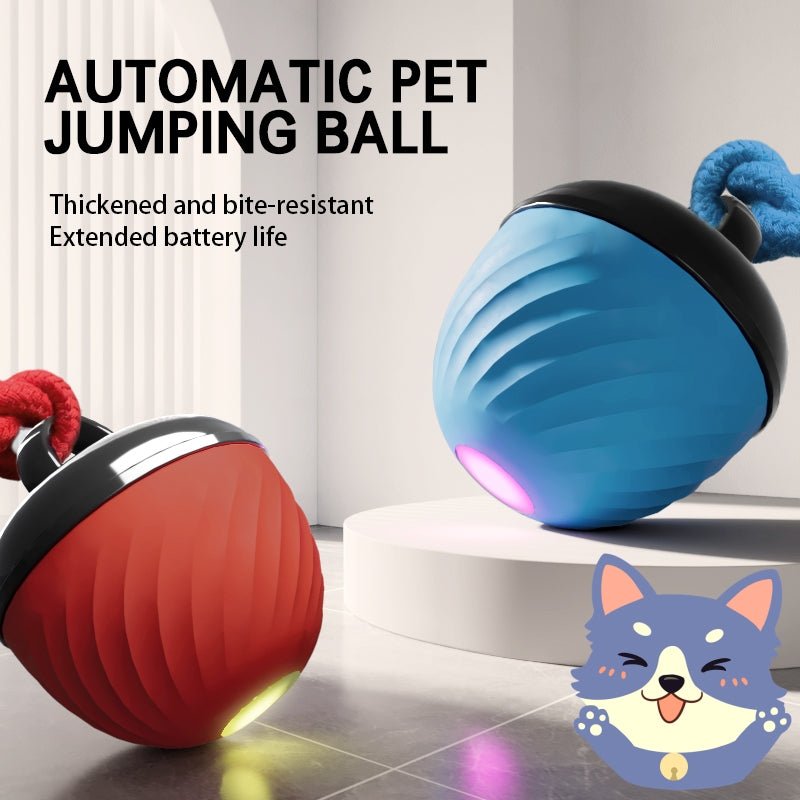 🐾 Dog & You™ Smart Moving Ball — 3 Modes, USB Rechargeable - Dog & You