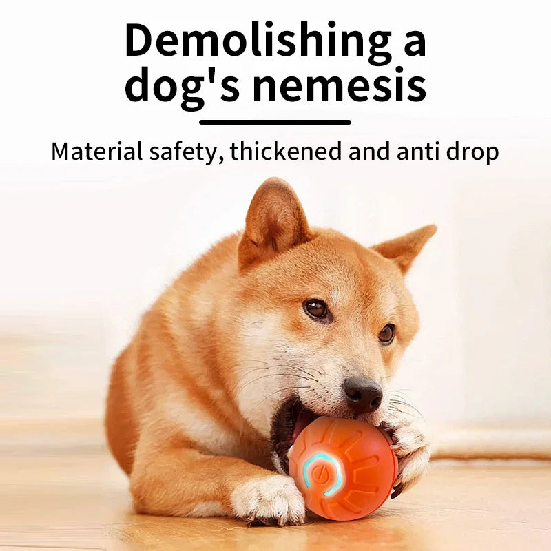 🐾 Dog & You™ Automatic Bounce Ball