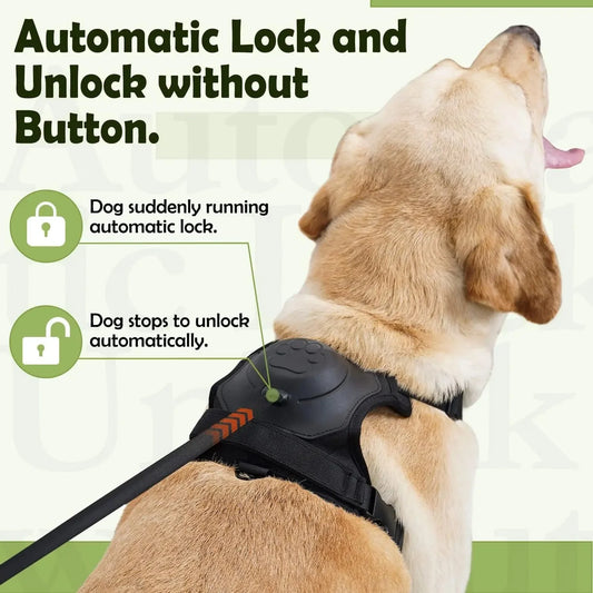 🐕 All-in-One Harness and Leash Set – Safety, Comfort & Style