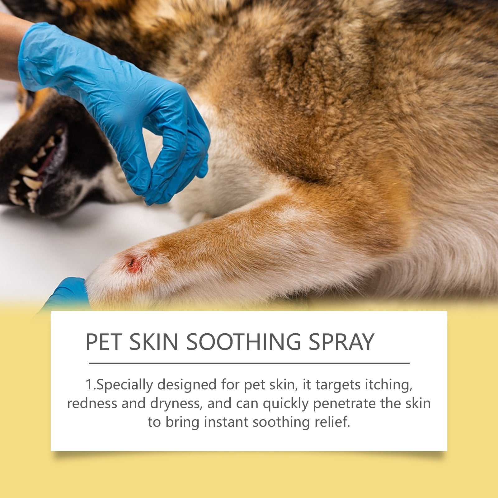 Pet Skin Care Spray Gentle Relief - Dog & You