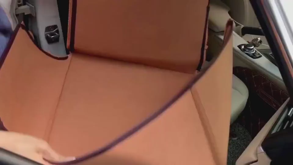 Load video: Front Row Single Pet Car Mat